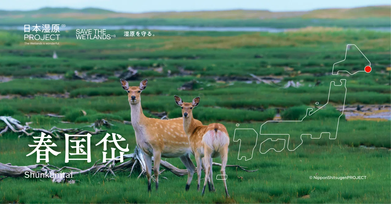 春国岱｜海と森と湿原がつながる、日本でも稀な原生の風景｜日本湿原PROJECT : SAVE THE WETLANDS+α.