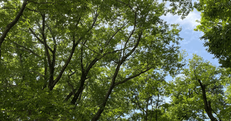 小野まどかさん の新着タグ記事一覧 Note つくる つながる とどける