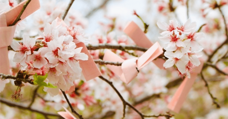 【司法試験】ロースクールでの過ごし方～留年せずに司法試験に合格するために意識するべきこと