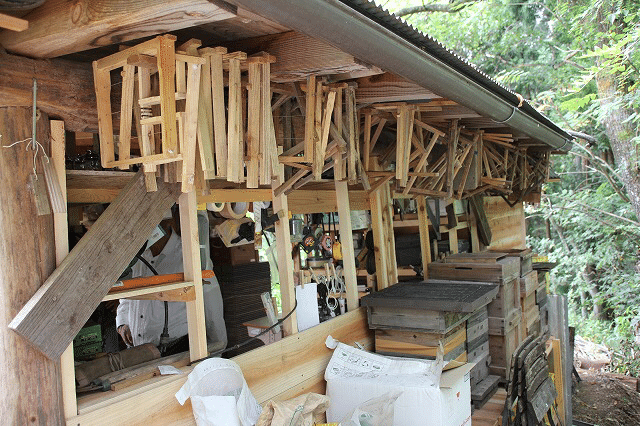 日本ミツバチ　今年入居１群 The first swarm of the year has moved into the new hive! A super