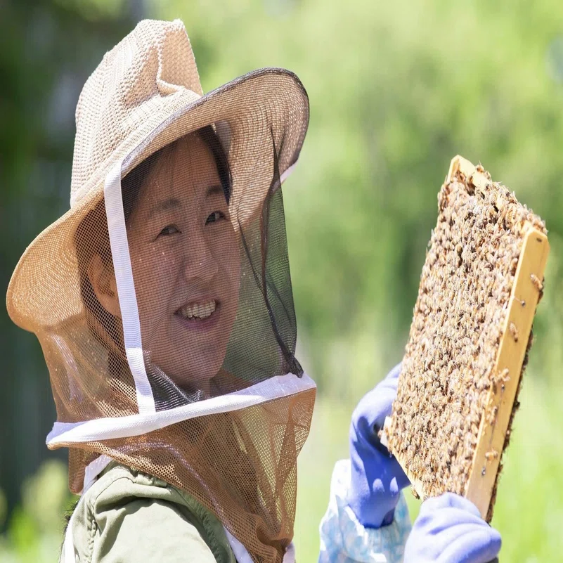 私が養蜂を始めた理由｜森のハープ弾き 阿久津 瞳