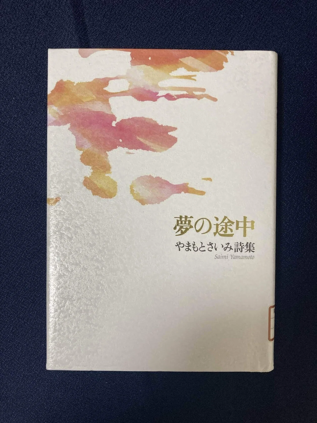 詩を読んで書いて出してみた【高知文学学校の予習】｜笠井 小太郎