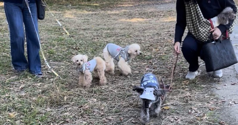 『会いたい』を分かち合えること。