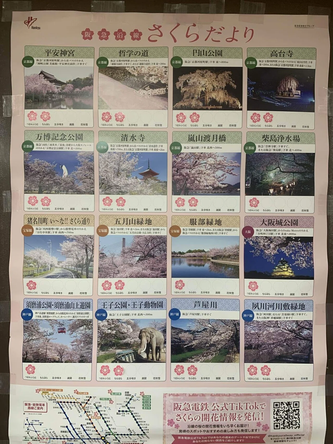 咲き始める桜 春が始まる｜みことのは