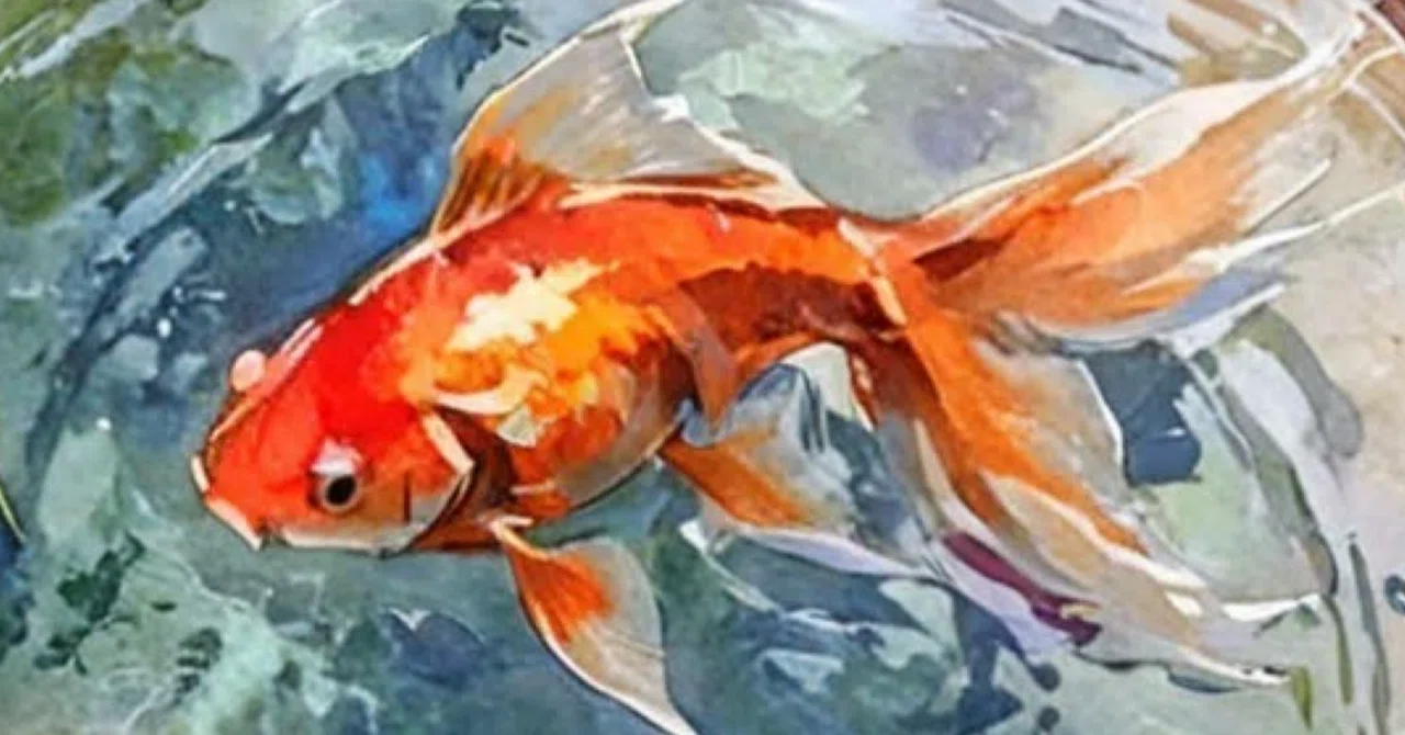 短編小説:「小さな金魚」｜春海鷹彦 Harumi Takahiko