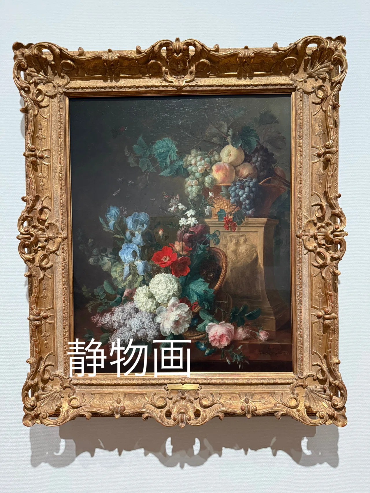 洋画　西洋画　色紙　額入　紙箱　直筆　画題　夏清　京都市立芸術大学 前売券】西洋絵画 400 年の旅―珠玉の東京富士美術館コレクション