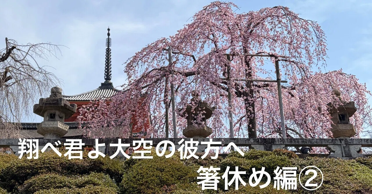 翔べ君よ大空の彼方へ 箸休め編②｜→AKIRARIKA←