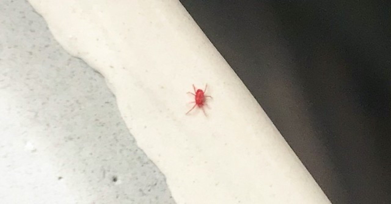 赤い虫と寿司桶の話 コウヅルユウタ Note