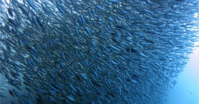 魚を食べると長生きする Dr Otani Note