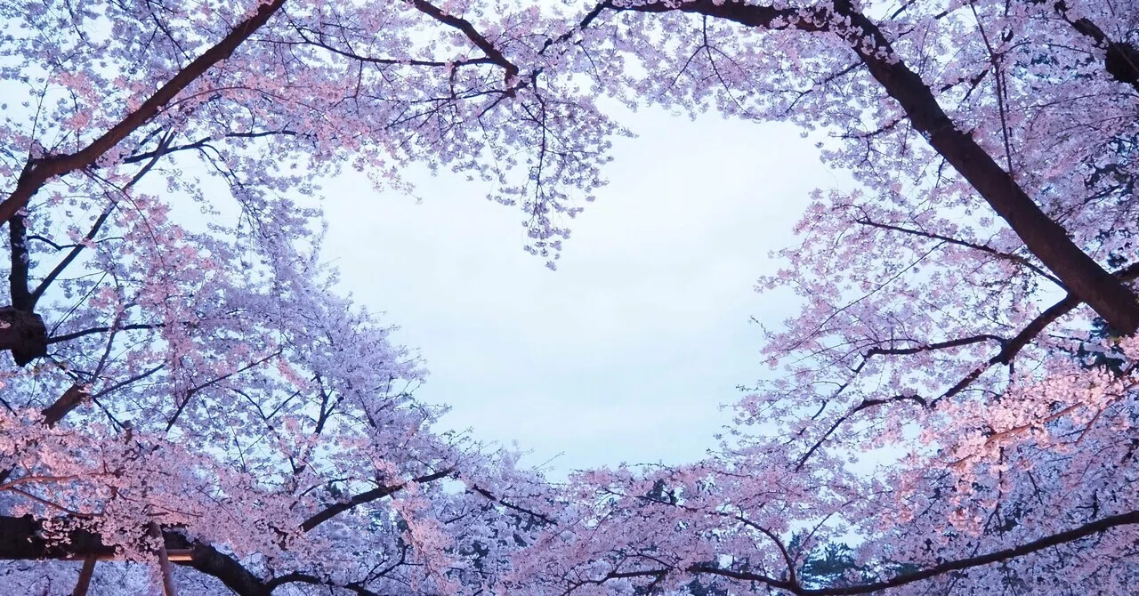 桜を見に旅へ出た2025春｜OLYMPUS PEN E-P7｜ゆとり