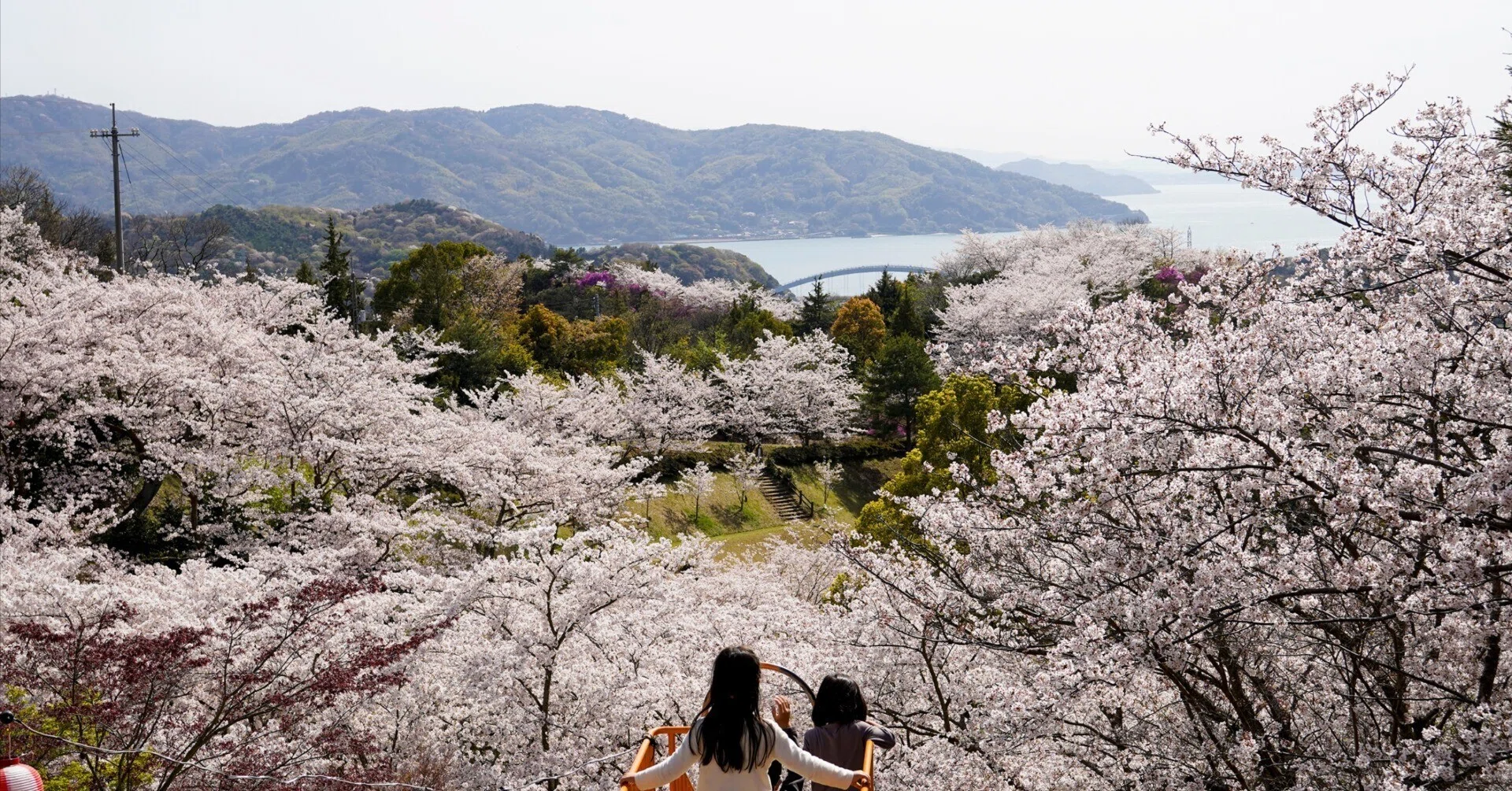 まもなく桜が満開に。春の桜スポット6選｜愛媛県今治市note【公式】