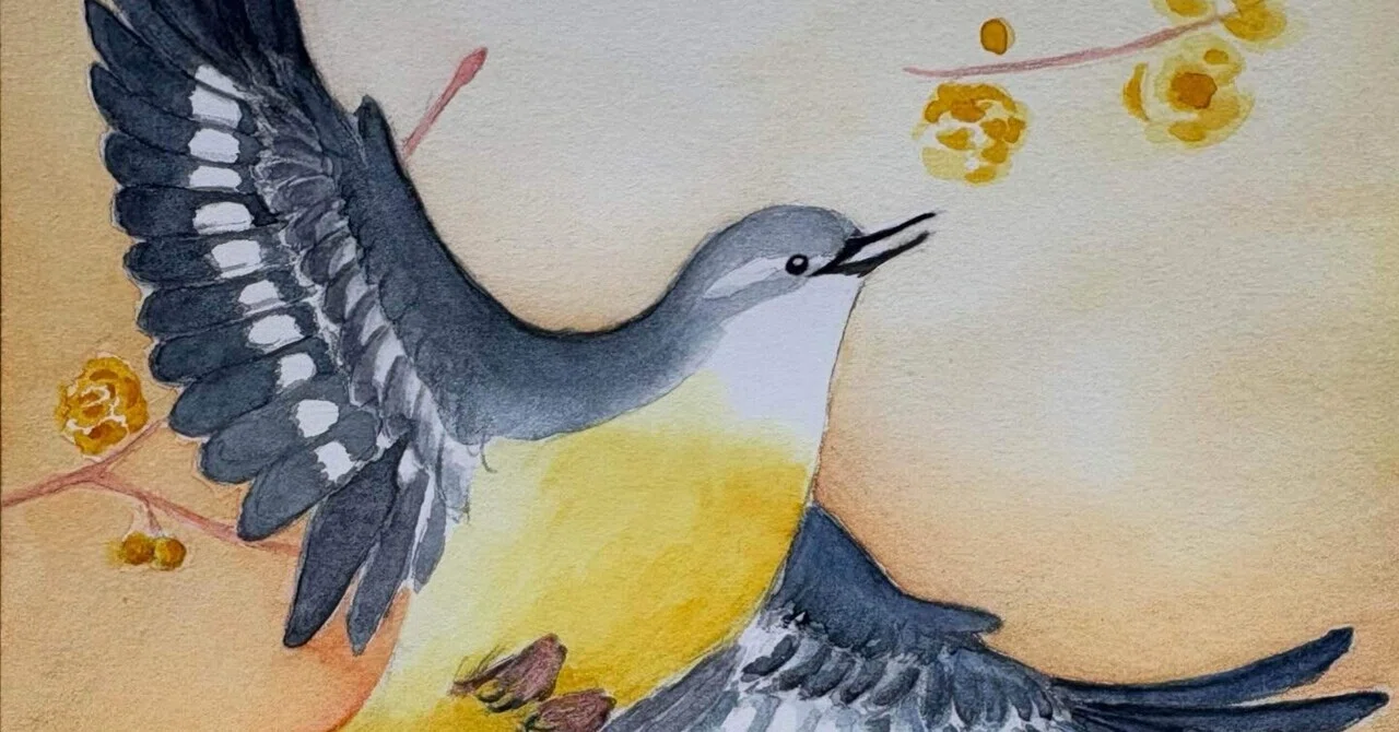 黄色い鳥を描く｜夜と街