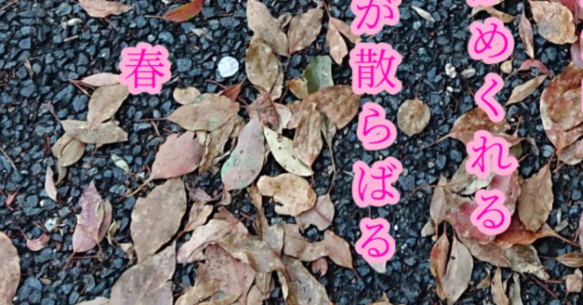 見出し画像