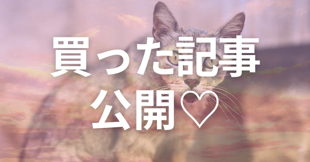 見出し画像