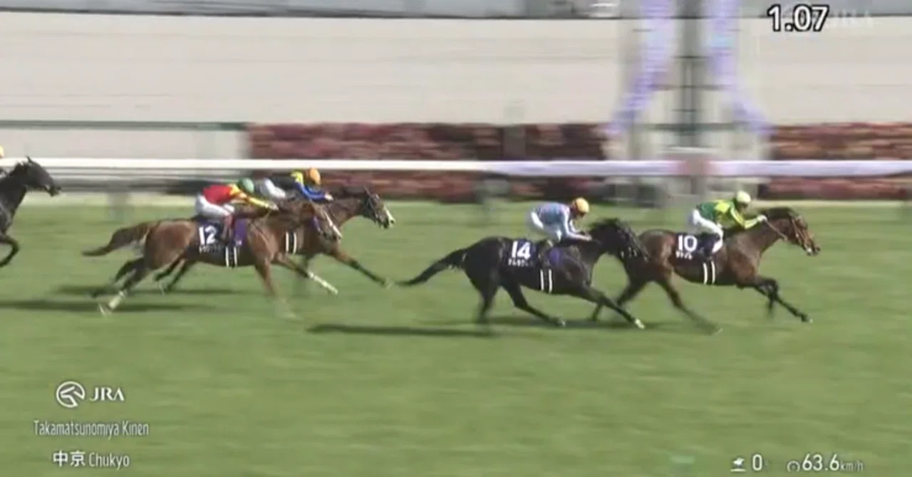 高松宮記念過去のレース結果｜カーディナル