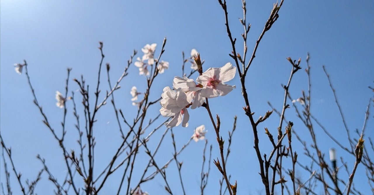 「【日記No.80】今年は春に広島クリテリウム🚴」のサムネイル