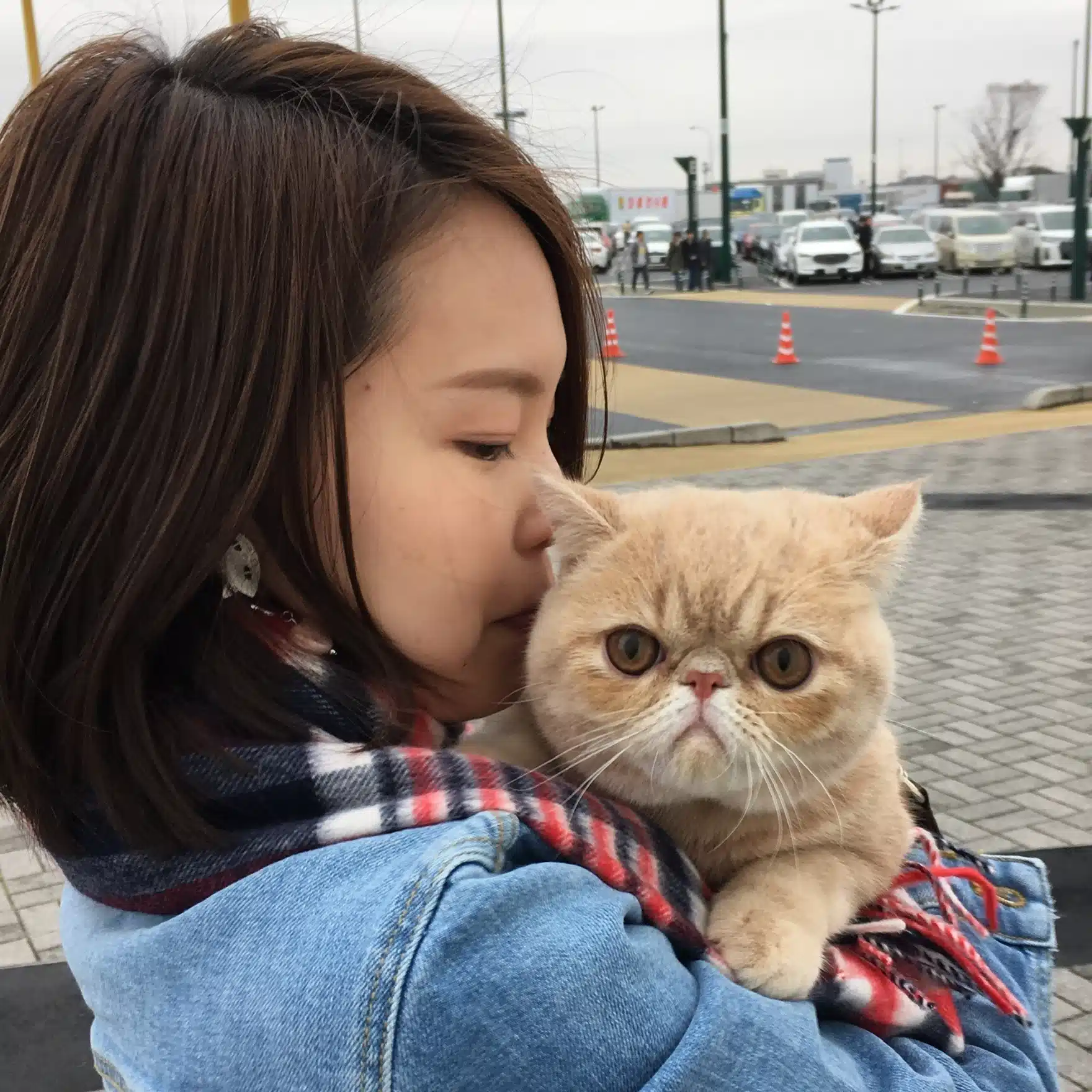 もーさん