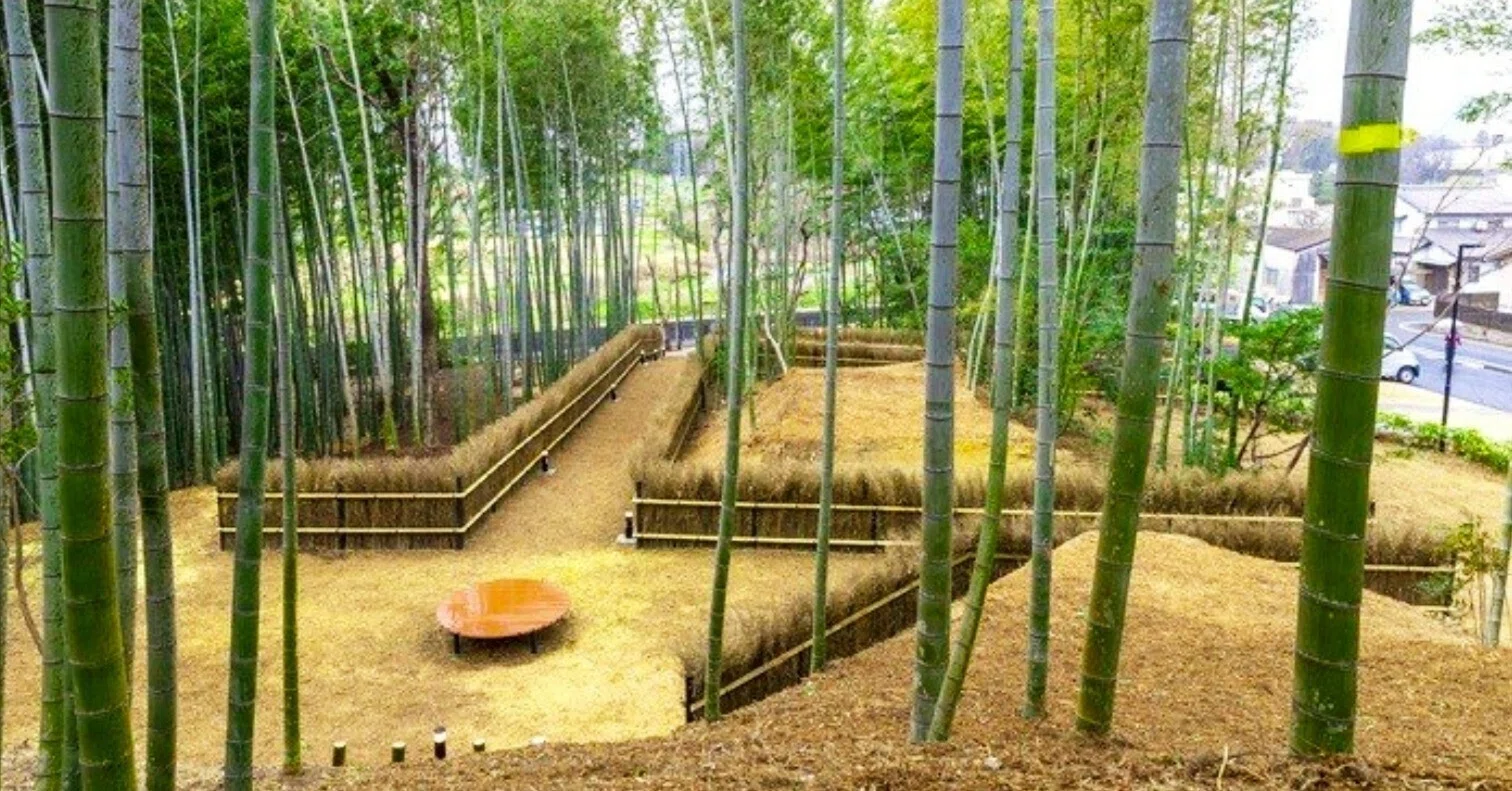 大府市の竹林公園にて竹林講座を開催します！｜一般社団法人BUN－KAI