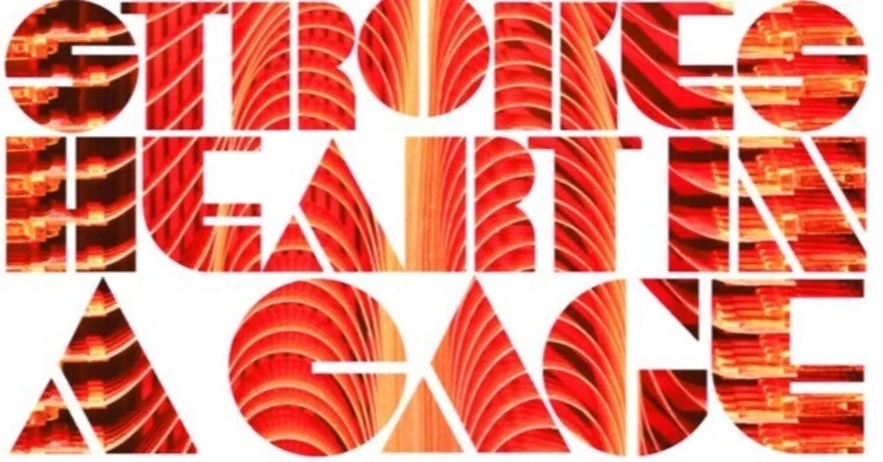 The Strokes / Heart In A Cage [SINGLE] (2006)｜no good