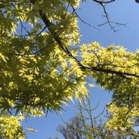 山崎ナオコーラ著 長い終わりが始まる を読んで はるちゃん Note