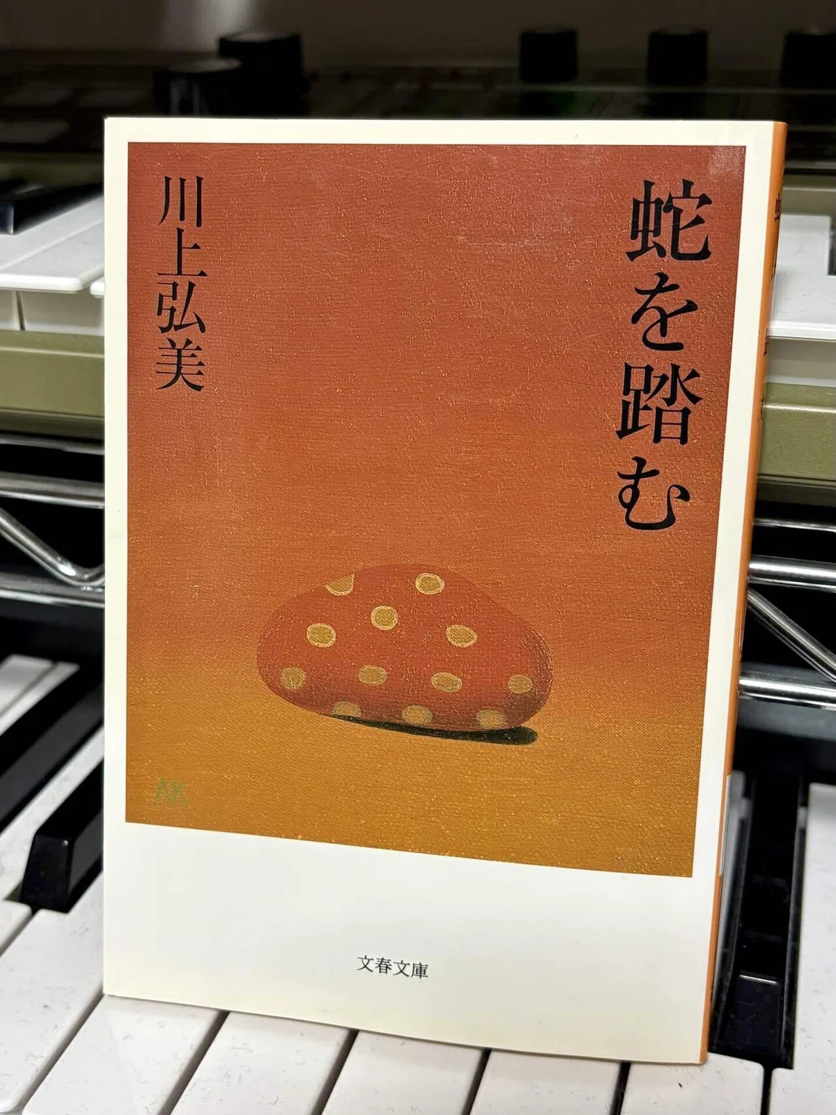 蛇を踏む　文庫本