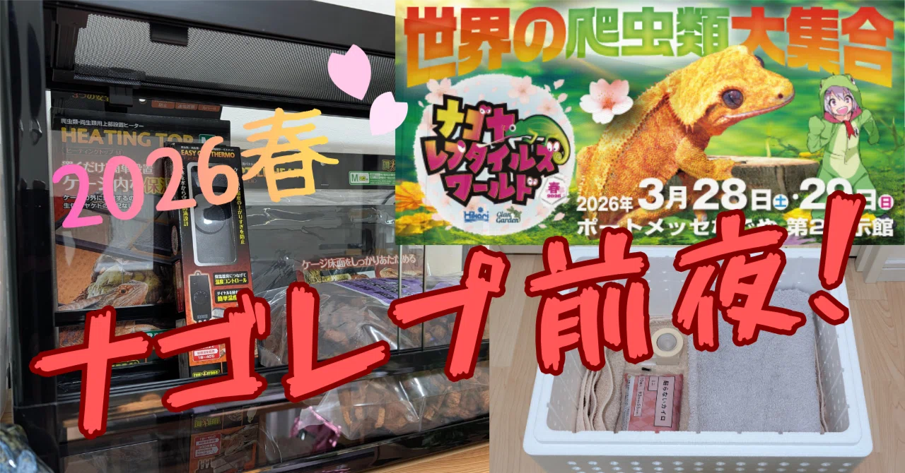 2026ナゴレプ前夜】グッズだけ買うつもりが…「〇〇お迎えセット」を全 
