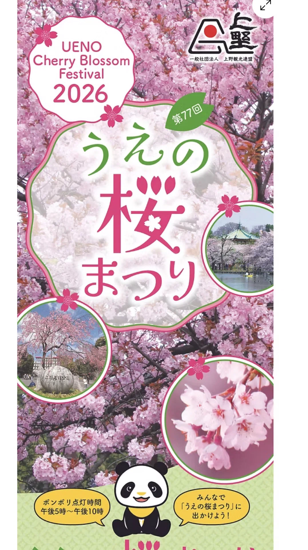 上野さんぽ〜上野東照宮・辨天堂〜うえの桜まつり開催中｜Yayoi Fujikura