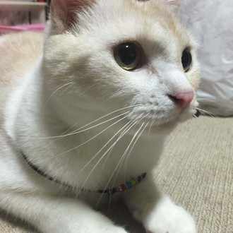 今日はお客様から怒られて凹む 気にしーやからずっと凹む 寝て忘れて 起きてまた思い出して凹む 凹む Skp Maribana Note