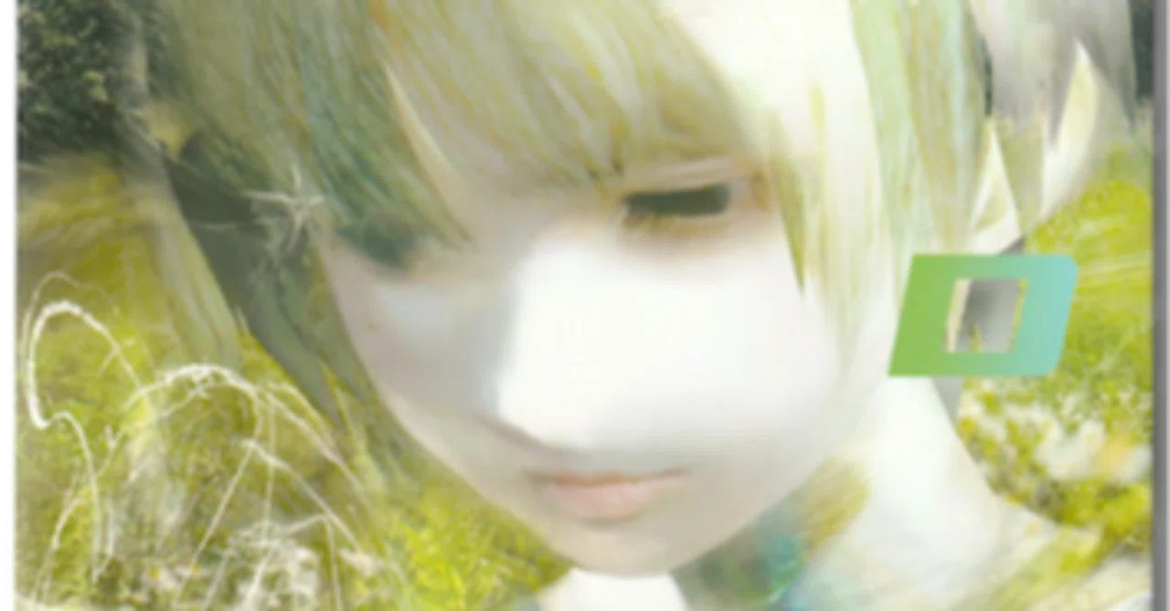Dream Dolphin Fan Book』を読む🐬｜赤家
