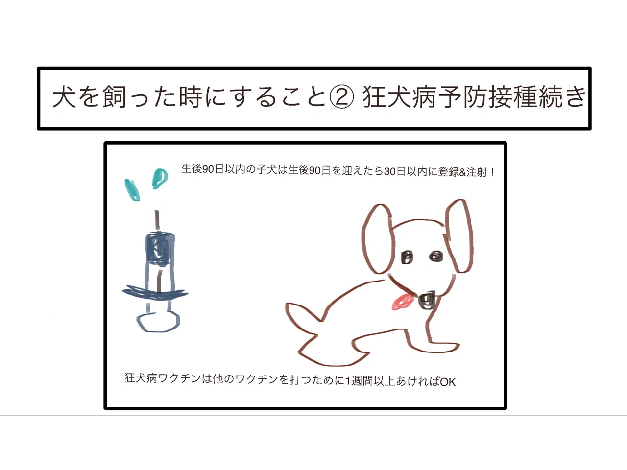 犬を飼った時にすることは 狂犬病予防接種について続き 獣医師ふーの 獣医さんとやってみよう自由研究 Note