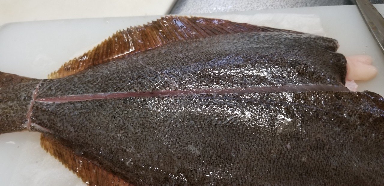 無料記事 鮮度抜群 活〆ヒラメを食べよう 五枚おろし と A 魚っくん Manabu Note
