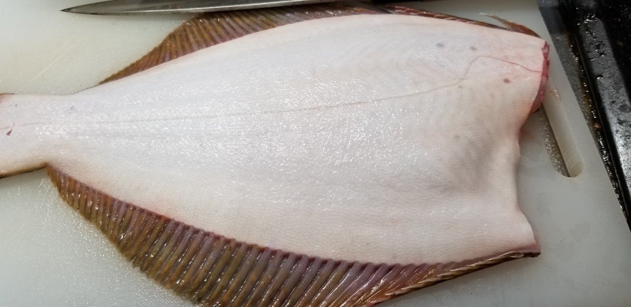 無料記事 鮮度抜群 活〆ヒラメを食べよう 五枚おろし と A 魚っくん Manabu Note