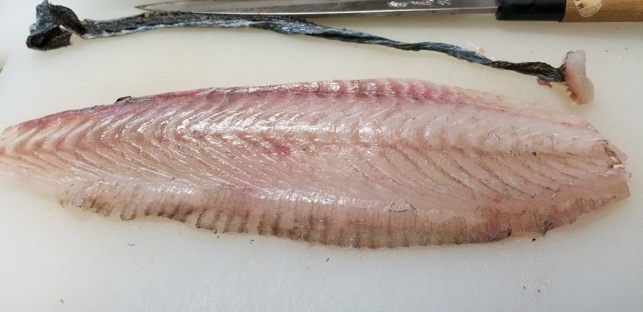 無料記事 鮮度抜群 活〆ヒラメを食べよう 五枚おろし と A 魚っくん Manabu Note