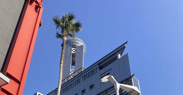 ニュージーランド不動産開発のお話し
