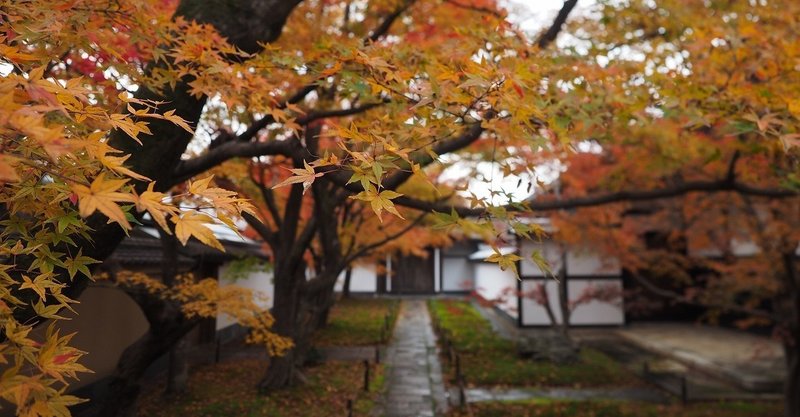 永久保存版 観光目線で巡る京都の庭園形式 京都の宿屋のしもおかです Note