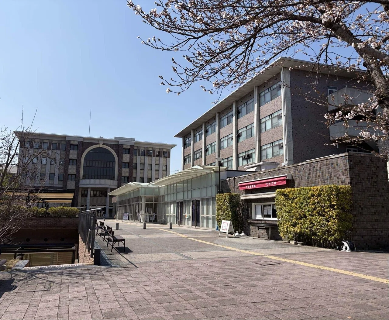 6歳息子の春休み、青春〈立命館大学 衣笠キャンパス〉｜にぐまっち