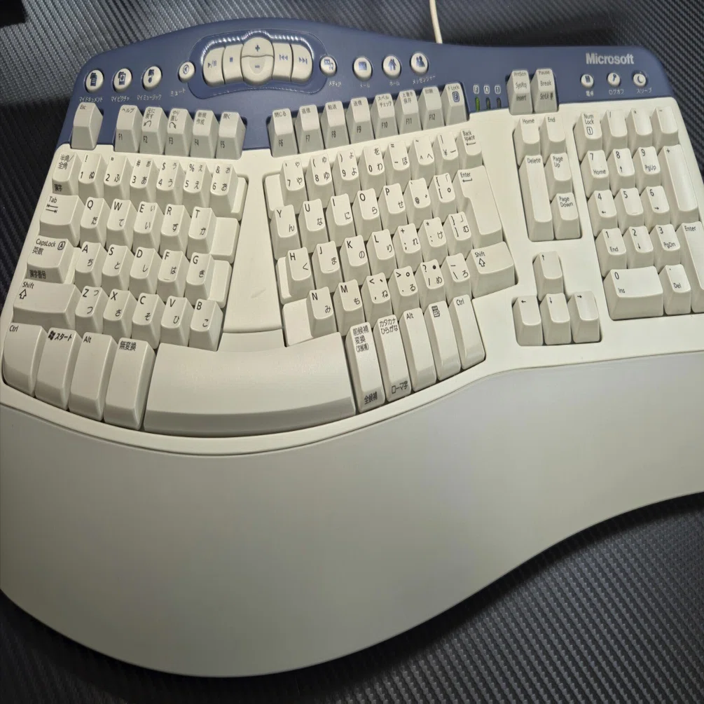Microsoft Natural MultiMedia Keyboardを購入した。｜RARYA