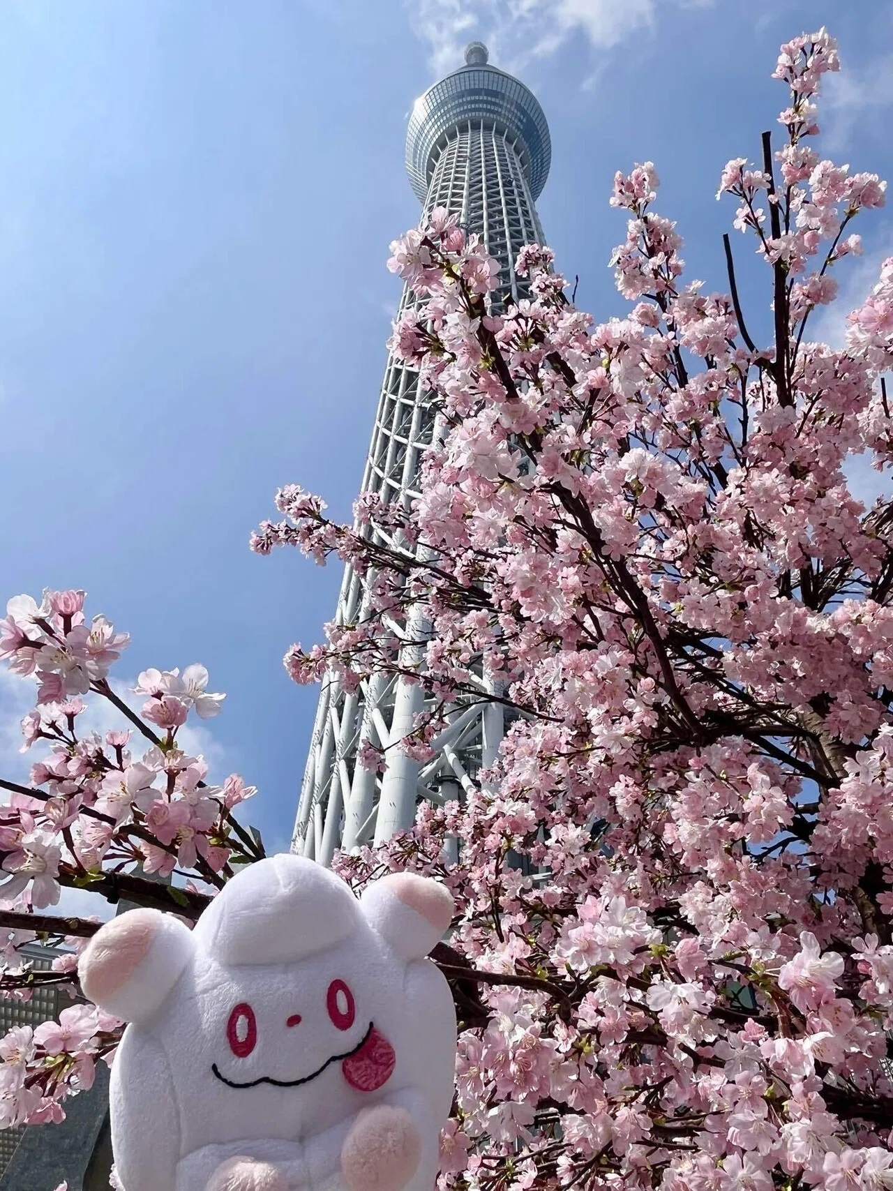 ポケモンと一緒にスカイツリーでお花見散歩｜旅&ポケモン✈️あゆむ