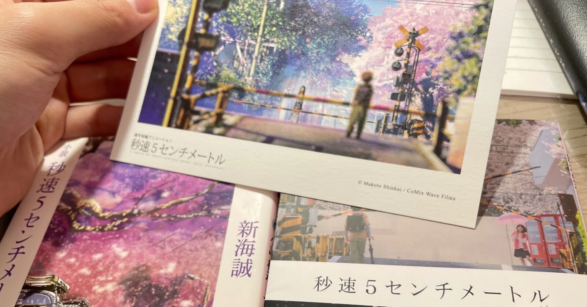秒速5センチメートル」は、原作と実写と小説、どれがいいのか｜鮎沢一樹