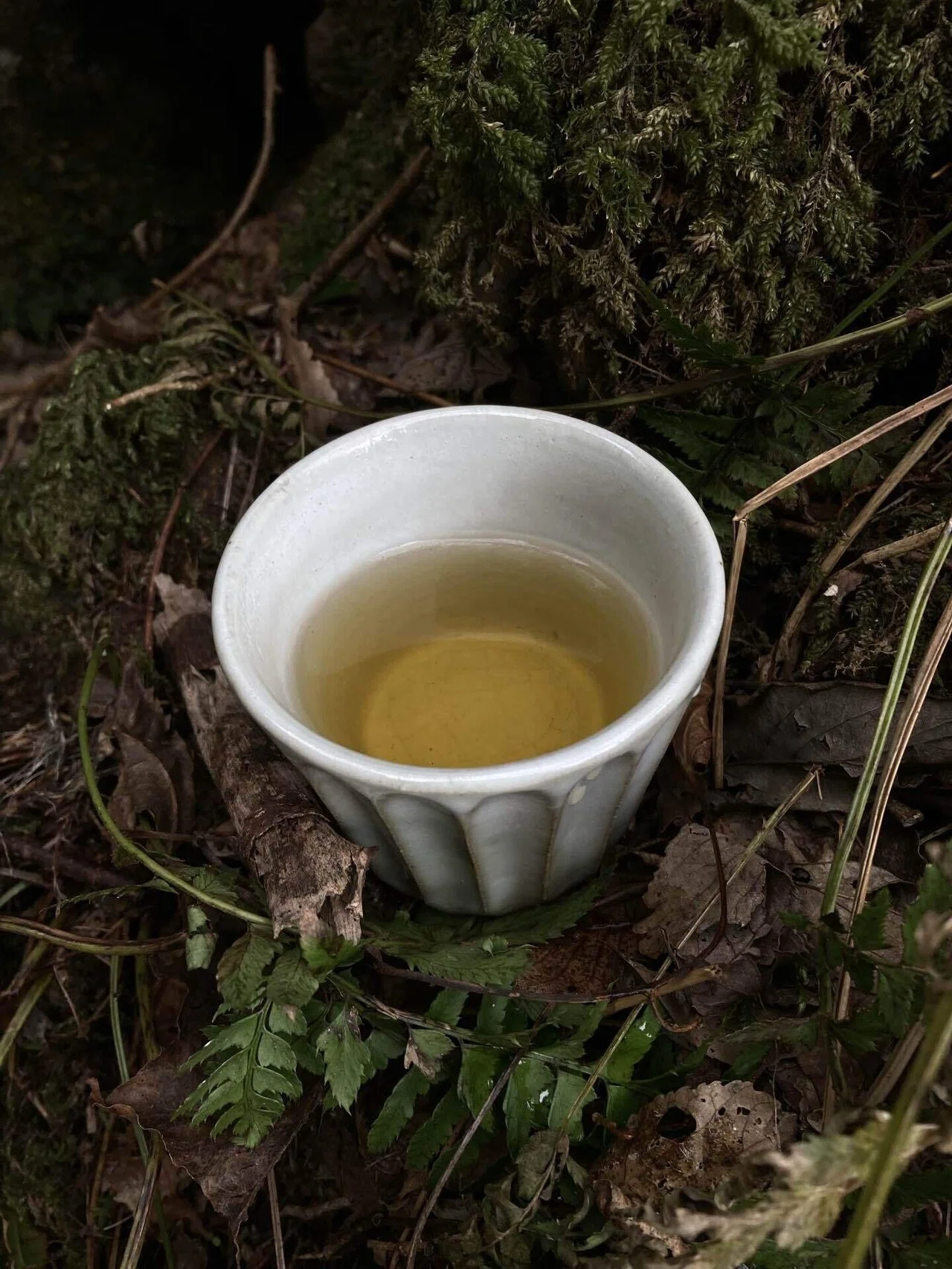 よもぎ茶】4/2よもぎ茶販売開始｜みちくさファーム