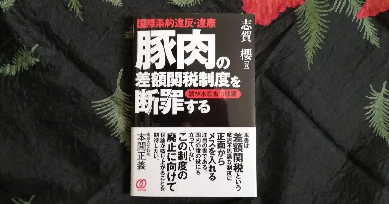 志賀櫻弁護士の話｜田邉正明
