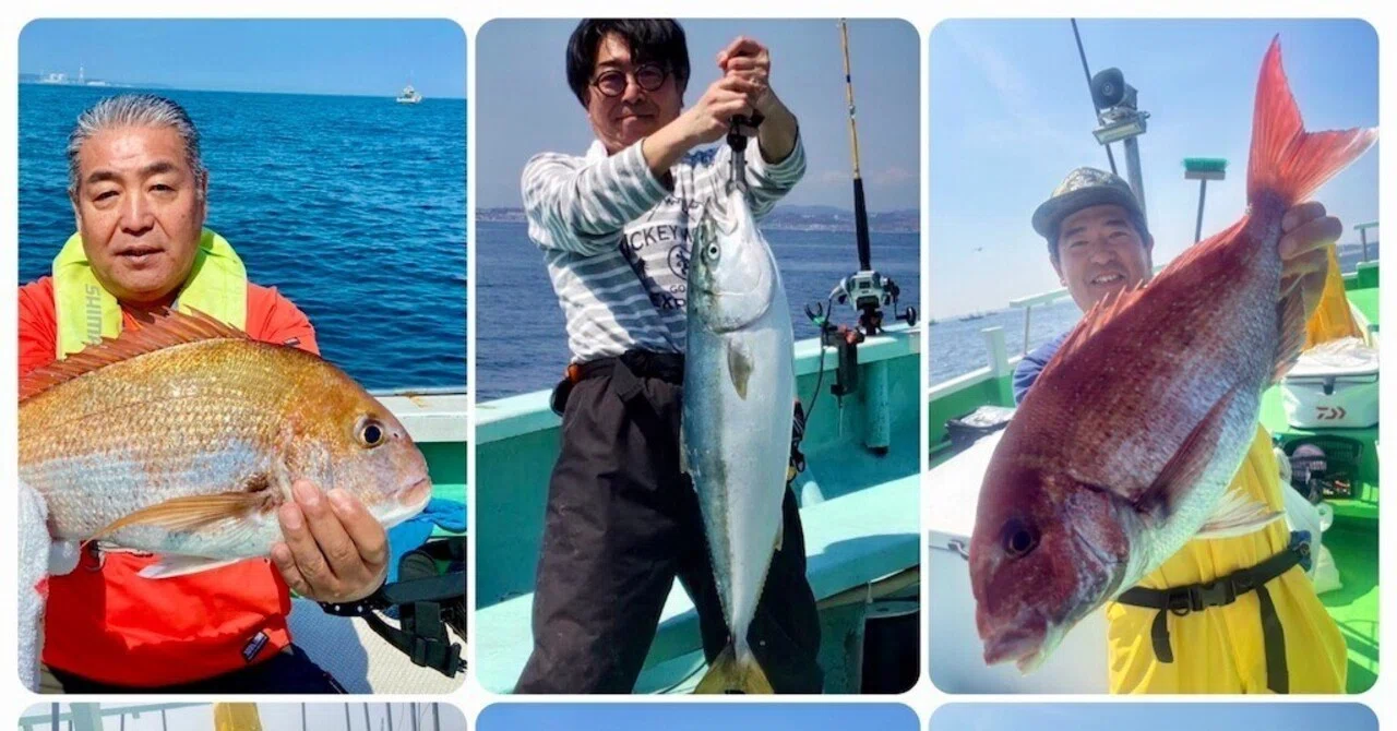 真鯛】竿頭3枚、最大2.5kg！2kg級も複数枚！【泳がせ】6.3kgのブリを