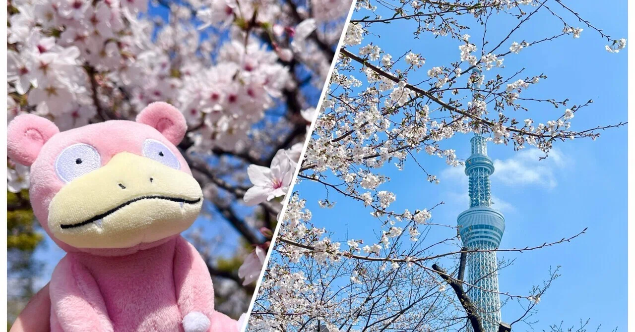 ポケモンと一緒にスカイツリーでお花見散歩｜旅&ポケモン✈️あゆむ