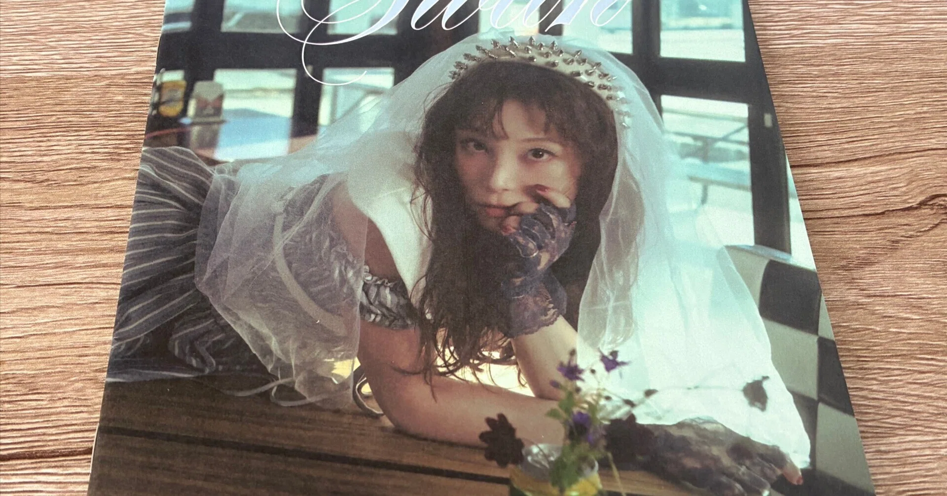 Phonia RINA「Phonia 1st ZINE『swan』」｜高橋一彰📖書評家