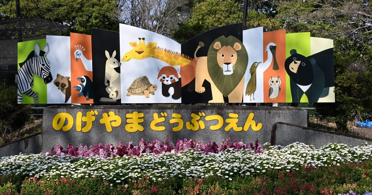 20260328_野毛山動物園【Nikon Z50IIと動物園】｜山ネズミ