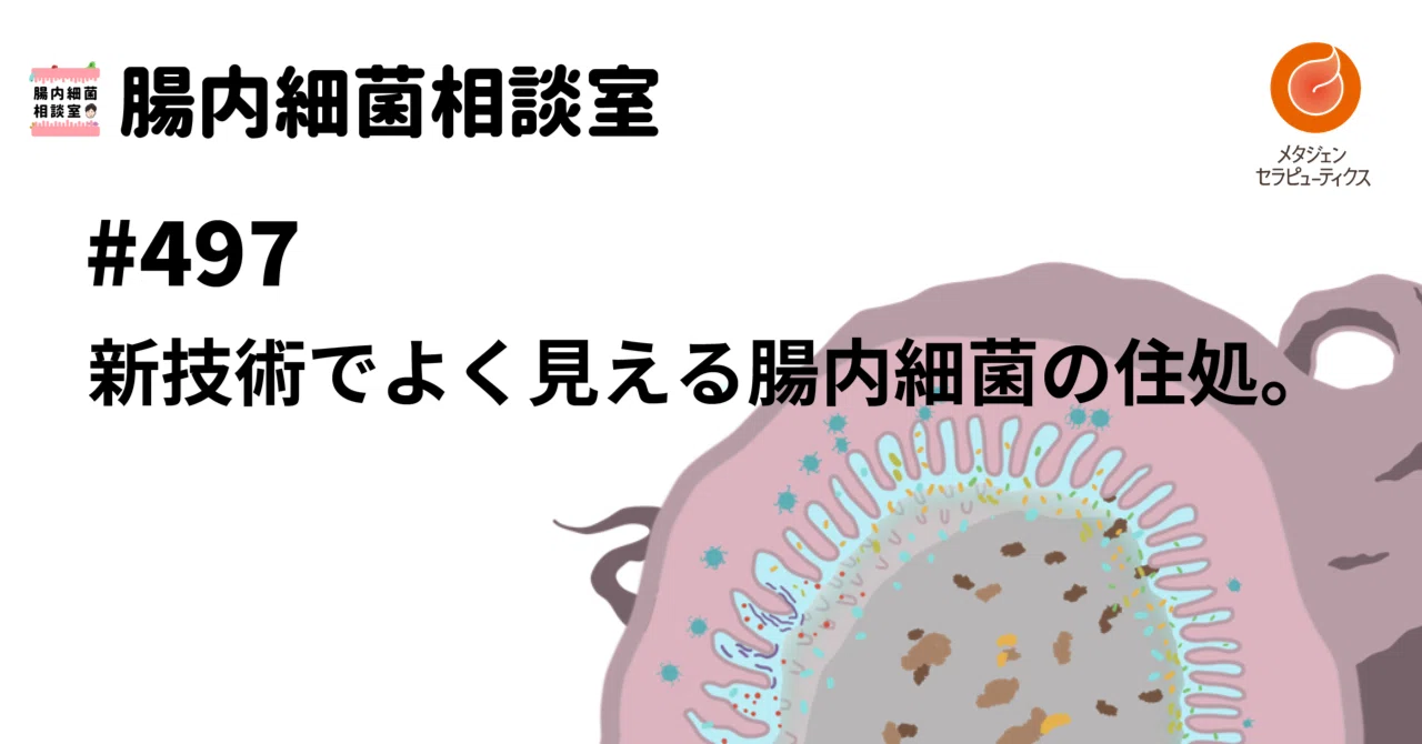 腸内細菌　結 497 新技術でよく見える腸内細菌の住処。｜腸内細菌相談室