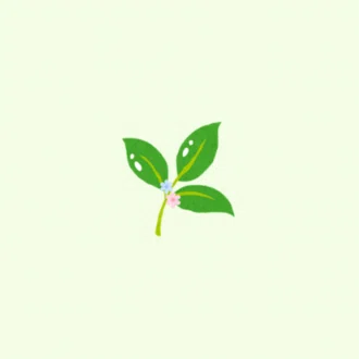 わかば