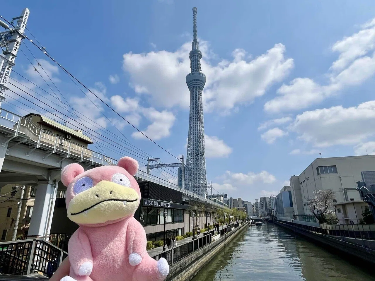 ポケモンと一緒にスカイツリーでお花見散歩｜旅&ポケモン✈️あゆむ