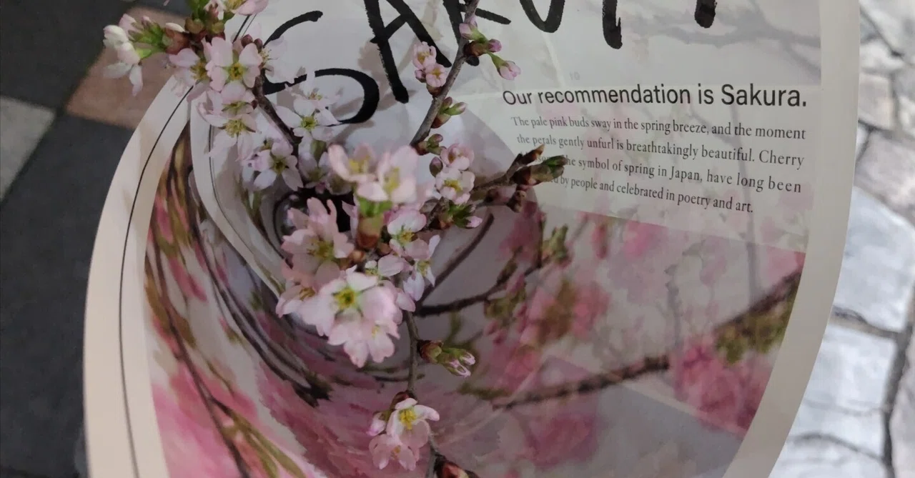 39 桜を抱えて｜39