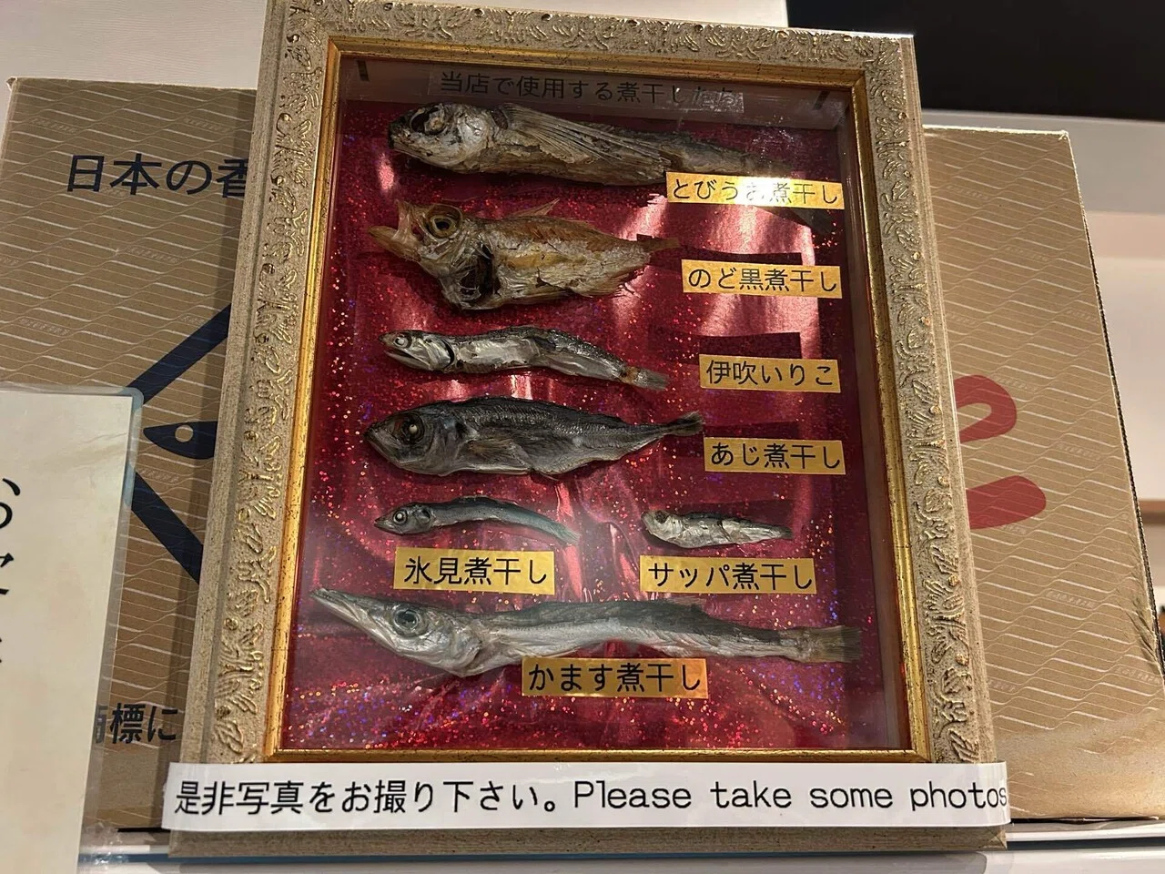 スクランブルバトル石川 直前！！今日は何食べる？（元）市民による